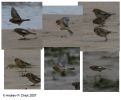 Filename=comp_image_high.jpg
Filesize=96KiB
Dimensions=700x577
Date added=Nov 25, 2007 comp_image_high.jpg