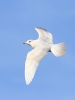 Filename=19~15.jpg
Filesize=58KiB
Dimensions=500x660
Date added=Jan 29, 2012 19~15.jpg