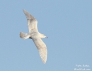 Filename=3~213.jpg
Filesize=64KiB
Dimensions=700x536
Date added=Jan 27, 2012 3~213.jpg