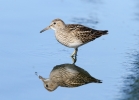 Filename=b2~0.jpg
Filesize=77KiB
Dimensions=700x502
Date added=Sep 24, 2012 b2~0.jpg
