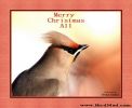 Filename=new~0.jpg
Filesize=95KiB
Dimensions=680x557
Date added=Dec 08, 2009 new~0.jpg