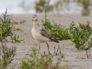 Filename=BBS_LBC.jpg
Filesize=106KiB
Dimensions=700x525
Date added=Sep 14, 2011 BBS_LBC.jpg