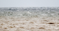 Filename=Lincs_sea.jpg
Filesize=88KiB
Dimensions=700x364
Date added=Sep 14, 2013 Lincs_sea.jpg