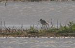 Filename=RQ2T4465-01.jpg
Filesize=60KiB
Dimensions=349x225
Date added=May 31, 2007 RQ2T4465-01.jpg
