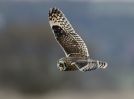 Filename=SEO_BC.jpg
Filesize=68KiB
Dimensions=700x519
Date added=Nov 16, 2010 SEO_BC.jpg