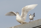 Filename=a~15.jpg
Filesize=75KiB
Dimensions=700x478
Date added=Feb 05, 2012 a~15.jpg