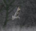 Filename=seo snow.jpg
Filesize=45KiB
Dimensions=700x594
Date added=Feb 27, 2005 seo snow.jpg