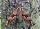Filename=001W~0.jpg
Filesize=128KiB
Dimensions=652x472
Date added=Jun 22, 2012 001W~0.jpg