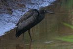 IMG_4392W.jpg