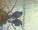 2006_12280016.JPG