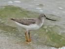 Filename=Terek-Covenham_May.jpg
Filesize=90KiB
Dimensions=640x480
Date added=May 20, 2014 Terek-Covenham_May.jpg