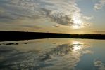 Birders_heading_home,_Frampton_Marsh-LR.jpg