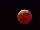 Filename=2004_0101moon0020.JPG
Filesize=20KiB
Dimensions=640x480
Date added=Mar 04, 2007 2004_0101moon0020.JPG