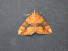 DSCN7246.JPG
