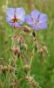 DSC_0078_edited-1web.jpg