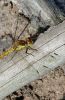 DSC_0125_edited-1web.jpg
