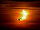 Filename=eclipseweb2.jpg
Filesize=85KiB
Dimensions=499x374
Date added=Jan 04, 2011 eclipseweb2.jpg