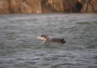 gnd-018web.jpg