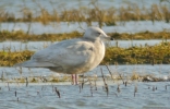 Filename=ice2.jpg
Filesize=121KiB
Dimensions=499x318
Date added=Feb 24, 2012 ice2.jpg