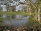 Egret_field_at_Legbourne.JPG