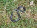 2006_0722kirkby0026.JPG