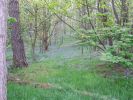Filename=bluebells.JPG
Filesize=126KiB
Dimensions=600x450
Date added=Apr 23, 2007 bluebells.JPG