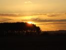 worlaby_sunset~0.jpg