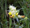 My_photo_s_015.jpg