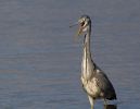 IMG_8289.jpg