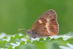 Gatekeeper100722-7053.jpg