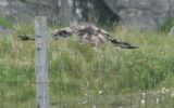 Filename=Hebrides-2-248-E-2.jpg
Filesize=24KiB
Dimensions=377x235
Date added=Jul 10, 2009 Hebrides-2-248-E-2.jpg
