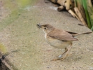 P6118326-2.jpg