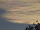 Filename=rainbow225.jpg
Filesize=106KiB
Dimensions=700x525
Date added=Oct 31, 2010 rainbow225.jpg