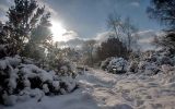 Lincolnshire_Messingham_Sand_Quarry_0070.jpg