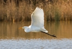 GWE_12693.jpg