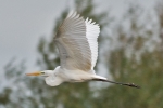 Filename=GWE_-_KoB_19_Oct_2016.jpg
Filesize=85KiB
Dimensions=600x400
Date added=Oct 19, 2016 GWE_-_KoB_19_Oct_2016.jpg