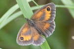 Gatekeeper_-_KoB_26_Jul_2012.jpg