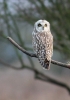 Filename=seo2_copy.jpg
Filesize=63KiB
Dimensions=425x600
Date added=Nov 18, 2011 seo2_copy.jpg