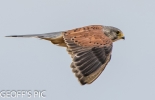 KESTREL_RIVER_BAIN_1_0___CRP__SEPT__2016__.jpg