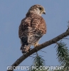 KES__GPIT_CRP_2016-3.jpg